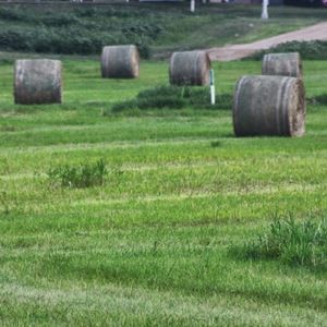 Meet your Posher, Carley